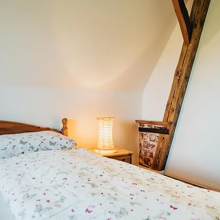 Olaf Apartment Schneverdingen